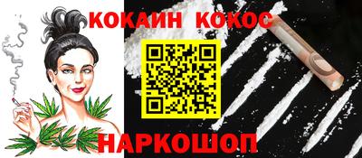 гидра Будённовск