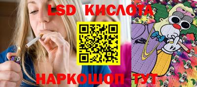 гидра Будённовск