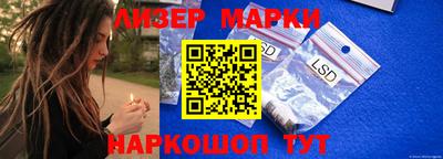 гидра Будённовск