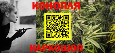 гидра Будённовск