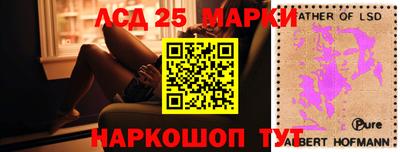 гидра Будённовск