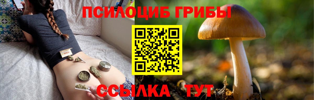 Галлюциногенные грибы Psilocybine cubensis Смоленск